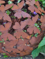 Preview: Edelrost Kugel Schmetterlinge, 50 cm