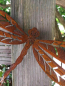Preview: Edelrost Libelle zum Schrauben