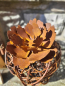 Preview: Edelrost Gartenstecker Pfingstrose