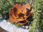 Preview: Edelrost Gartenstecker Pfingstrose
