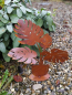 Preview: Edelrost Philodendron auf Platte