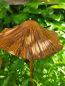 Preview: Edelrost 3D Pilz zum Stecken