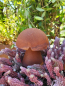 Preview: Edelrost 3D Pilz Egon zum Stellen