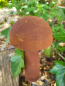 Preview: Edelrost 3D Pilz Mick zum Stecken