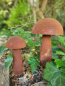 Preview: Edelrost 3D Pilz Mick zum Stecken