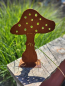 Preview: Edelrost Fliegenpilz August zum Stellen