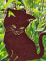 Preview: Edelrost Regenmesser Katze Schlumpfi