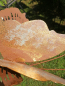 Preview: Edelrost Regenmesser Schmetterling, rost-gold