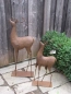 Preview: Edelrost Rentier modern 76 cm
