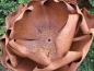 Preview: Edelrost Rose auf Platte