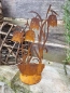 Preview: Edelrost Schachbrettblume im Topf, niedrig