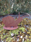 Preview: Edelrost Schnecke Gonzales