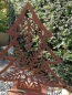 Preview: Edelrost Schneetanne Abete