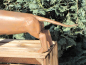 Preview: Edelrost Dackel 3D
