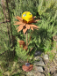 Preview: Edelrost Solarblume Maya, gelb