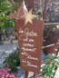 Preview: Edelrost Schild mit Stern,  anderer Himmel