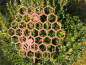 Preview: Edelrost Gartenstecker Wabe