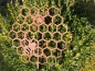 Preview: Edelrost Gartenstecker Wabe