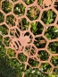 Preview: Edelrost Gartenstecker Wabe