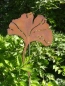 Preview: Edelrost Gartenstecker Ginkgoblatt