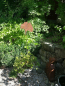 Preview: Edelrost Gartenstecker Ginkgoblatt