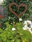 Preview: Gartenstecker Edelrost Herz Saskia