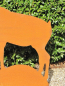 Preview: Edelrost Steinbock Josef