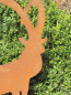 Preview: Edelrost Steinbock Josef