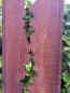 Preview: Edelrost Sichtschutzelement Stele Riss, 180 cm, oben offen