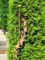 Preview: Edelrost Gartenstecker Sternenband 150 cm