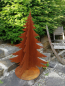 Preview: Edelrost Tanne Andi, 3D