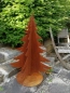 Preview: Edelrost Tanne Andi, 3D