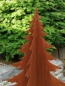 Preview: Edelrost Tanne Andi, 3D