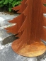 Preview: Edelrost Tanne Andi, 3D