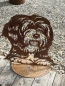 Preview: Edelrost Tibet-Terrier Gustav