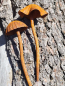 Preview: Edelrost Topfstecker Pilze 3D, 2er-Set