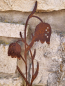 Preview: Edelrost Stecker Schachbrettblume