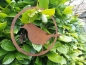 Preview: Edelrost Vogel im Ring, Amsel