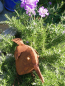 Preview: Edelrost Vogel Riccarda