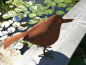 Preview: Edelrost Vogel Riccarda