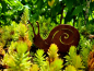 Preview: Edelrost Weinbergschnecke
