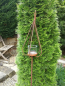 Preview: Edelrost Gartenstecker Windlicht Flammenzwiebel