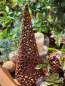 Preview: Edelrost Windlicht Pyramide Mosaikmuster