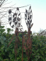 Preview: Edelrost Windrad Blütenreigen