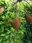 Preview: Edelrost Windrad Löffel, 80 cm