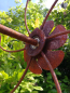 Preview: Edelrost Windrad Schmetterlinge, 80 cm