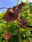 Preview: Edelrost Windrad Schmetterlinge, 80 cm