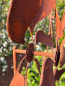 Preview: Edelrost Windrad Sonne doppelt