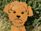 Preview: Edelrost Yorkshire Terrier