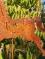 Preview: Edelrost Gartenstecker Pferd laufend, 3 Beine